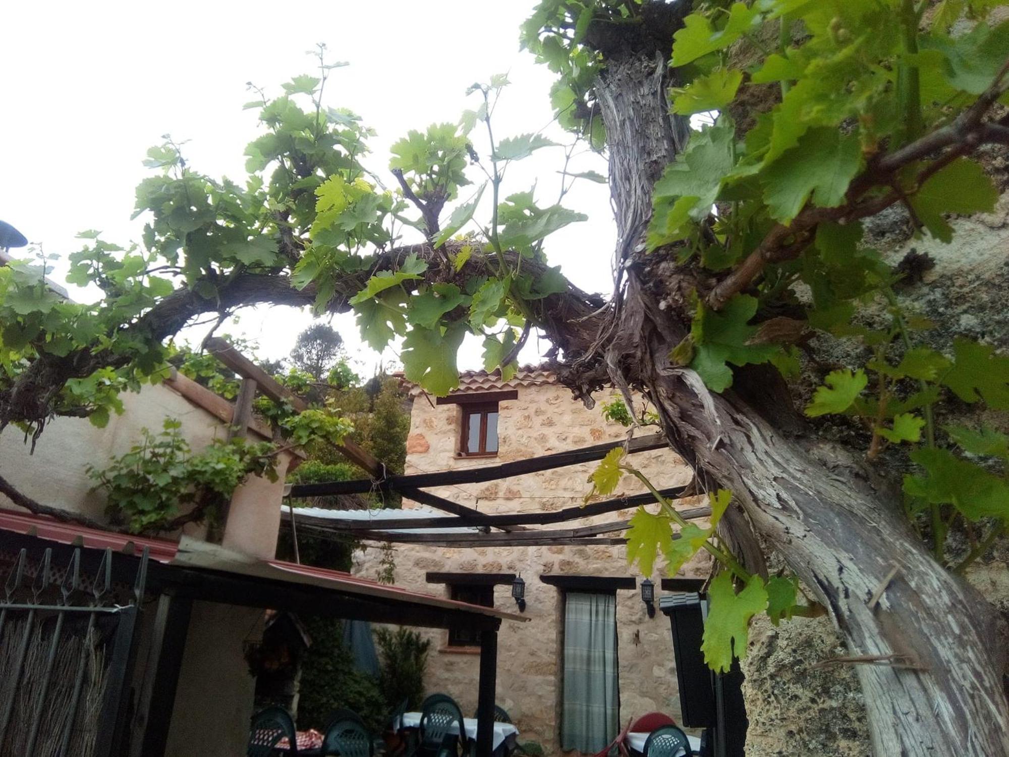 Posada Del Dulce Sueno Mojares Exteriér fotografie